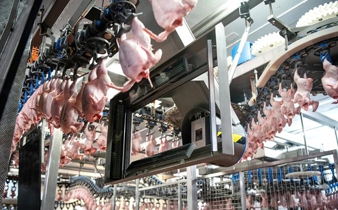 5 questions sur la sélection par vision dans la transformation de la volaille